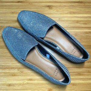 Silver / Shimmery/ Iridescent Target Flats   - size 7.5